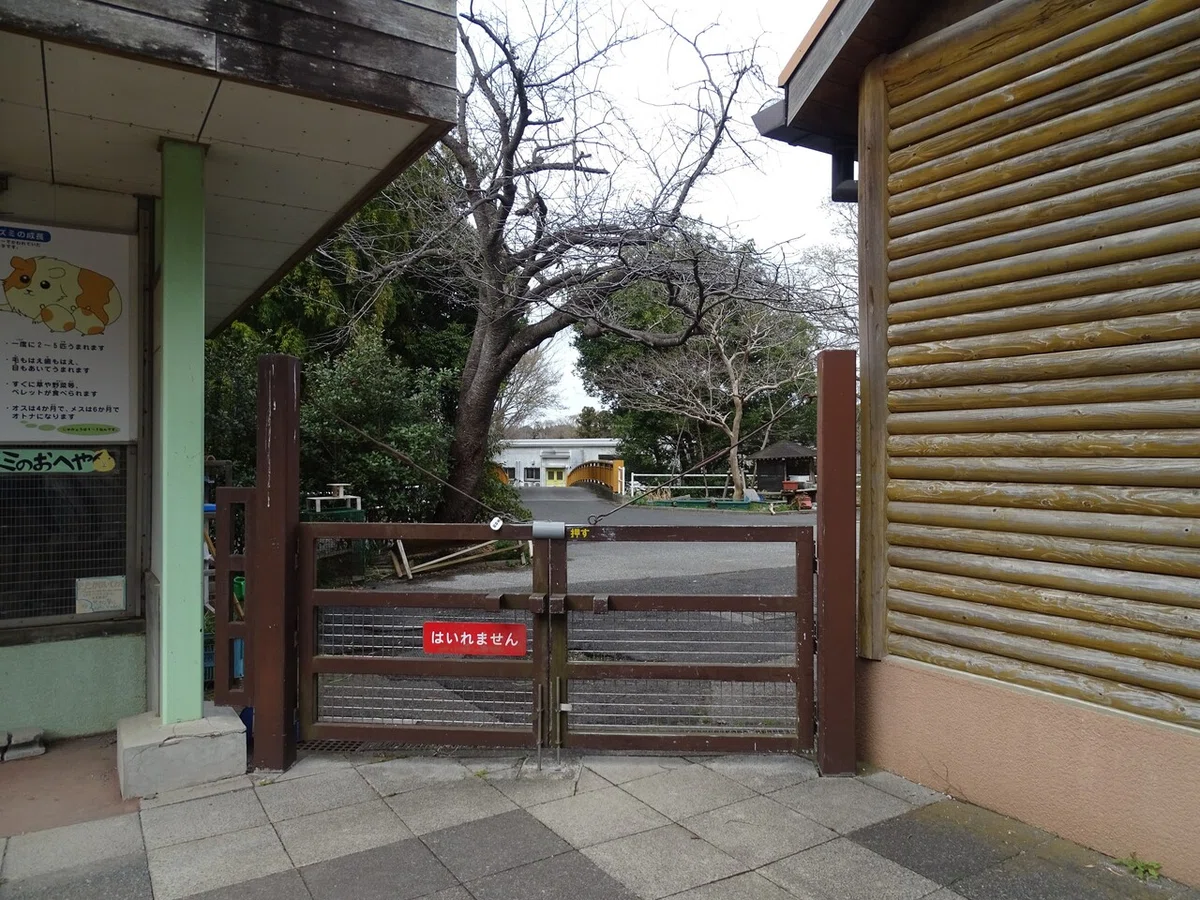 画像139