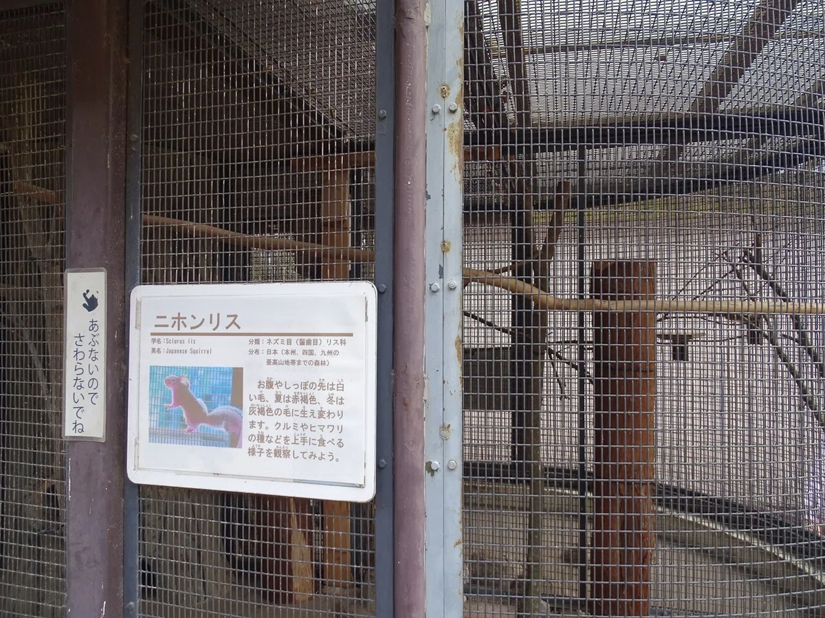 画像136