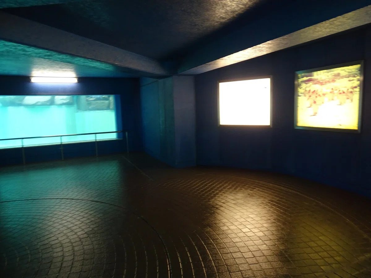 画像272