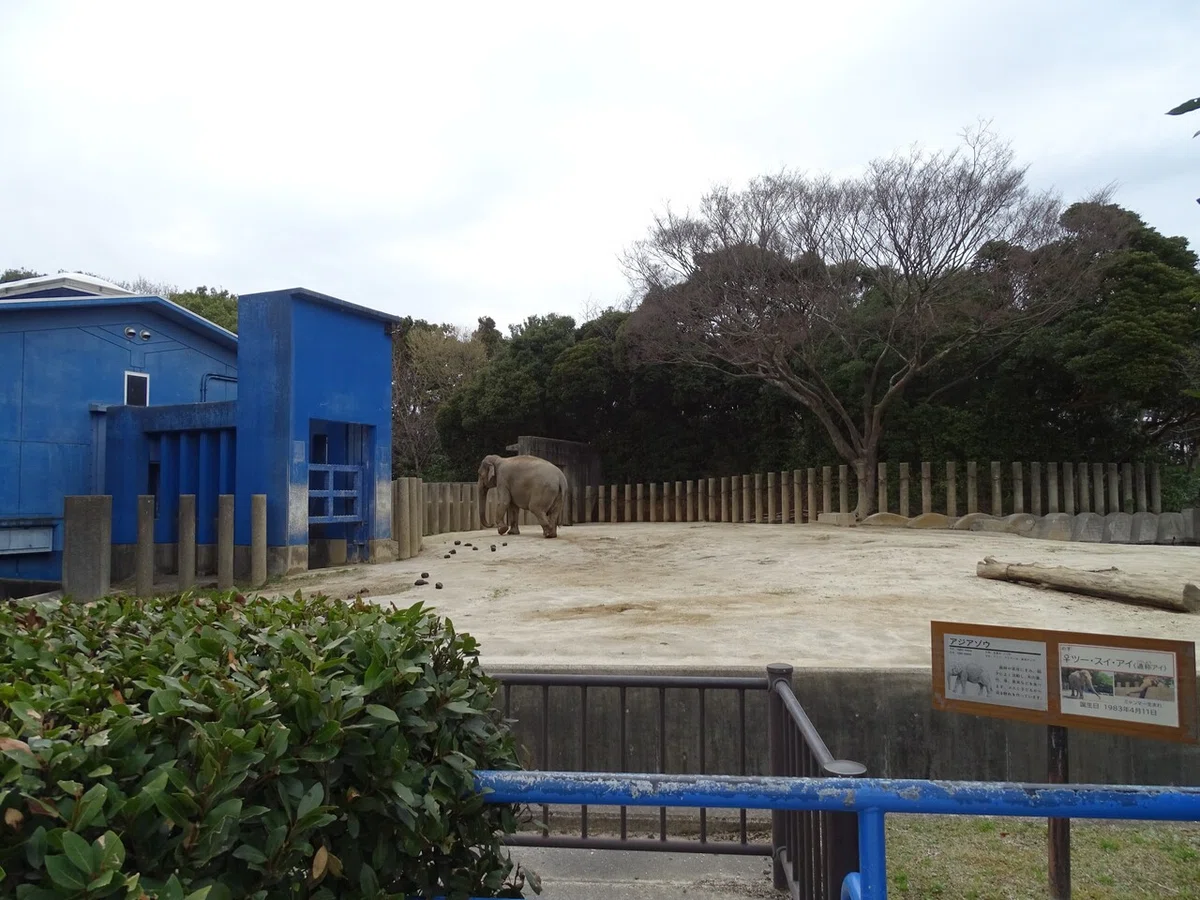 画像223