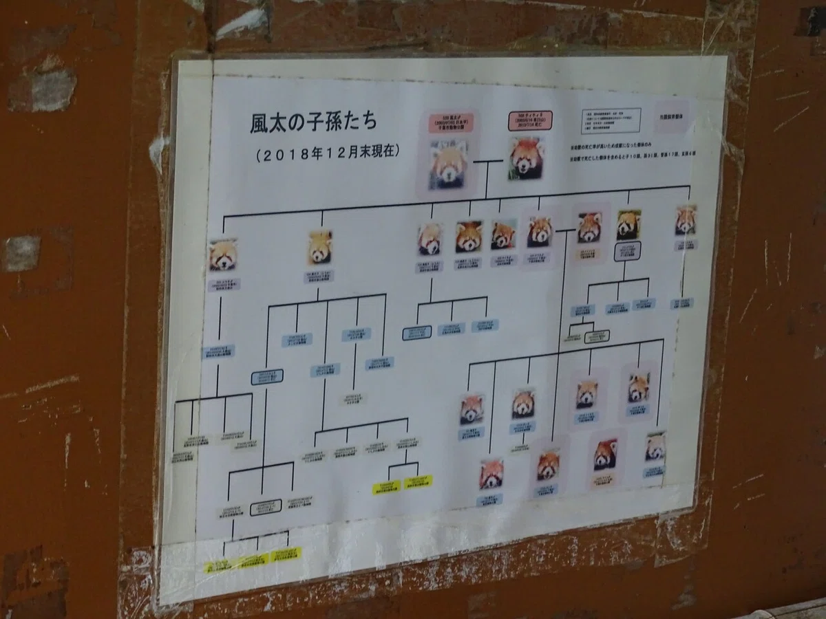 画像159