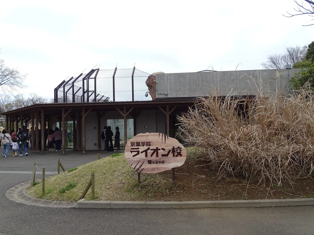 画像215
