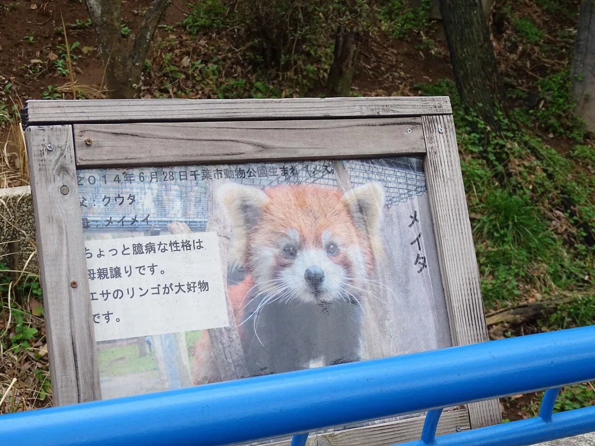 画像169