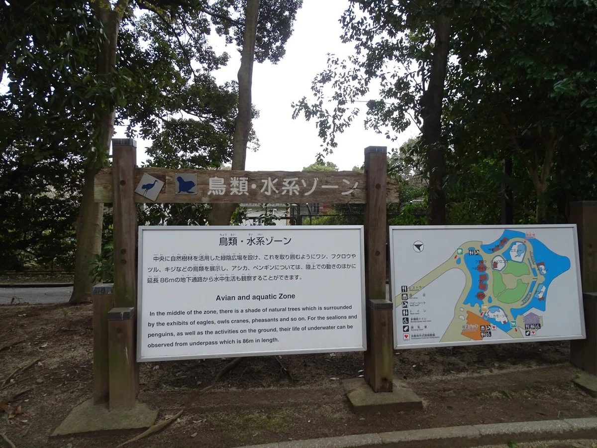 画像262