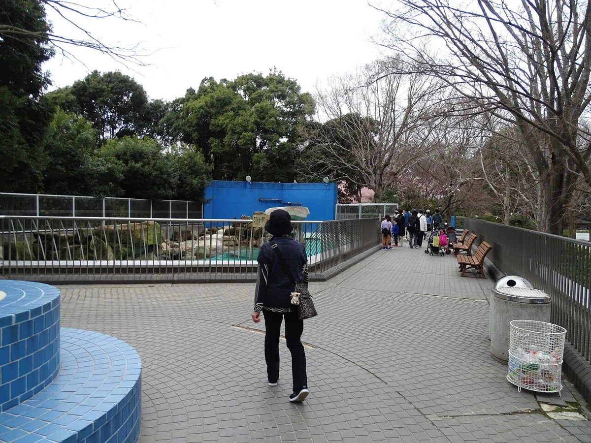 画像268