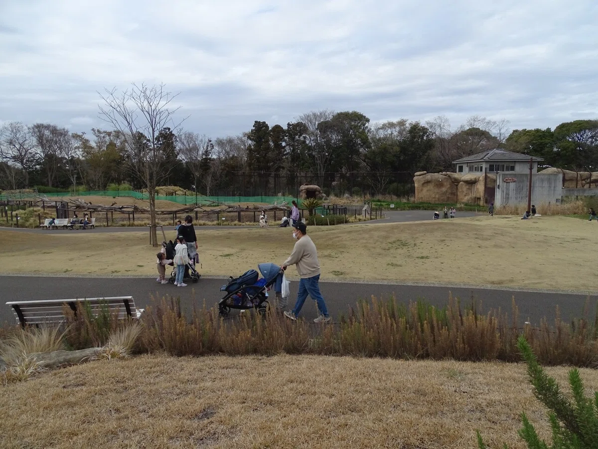 画像183