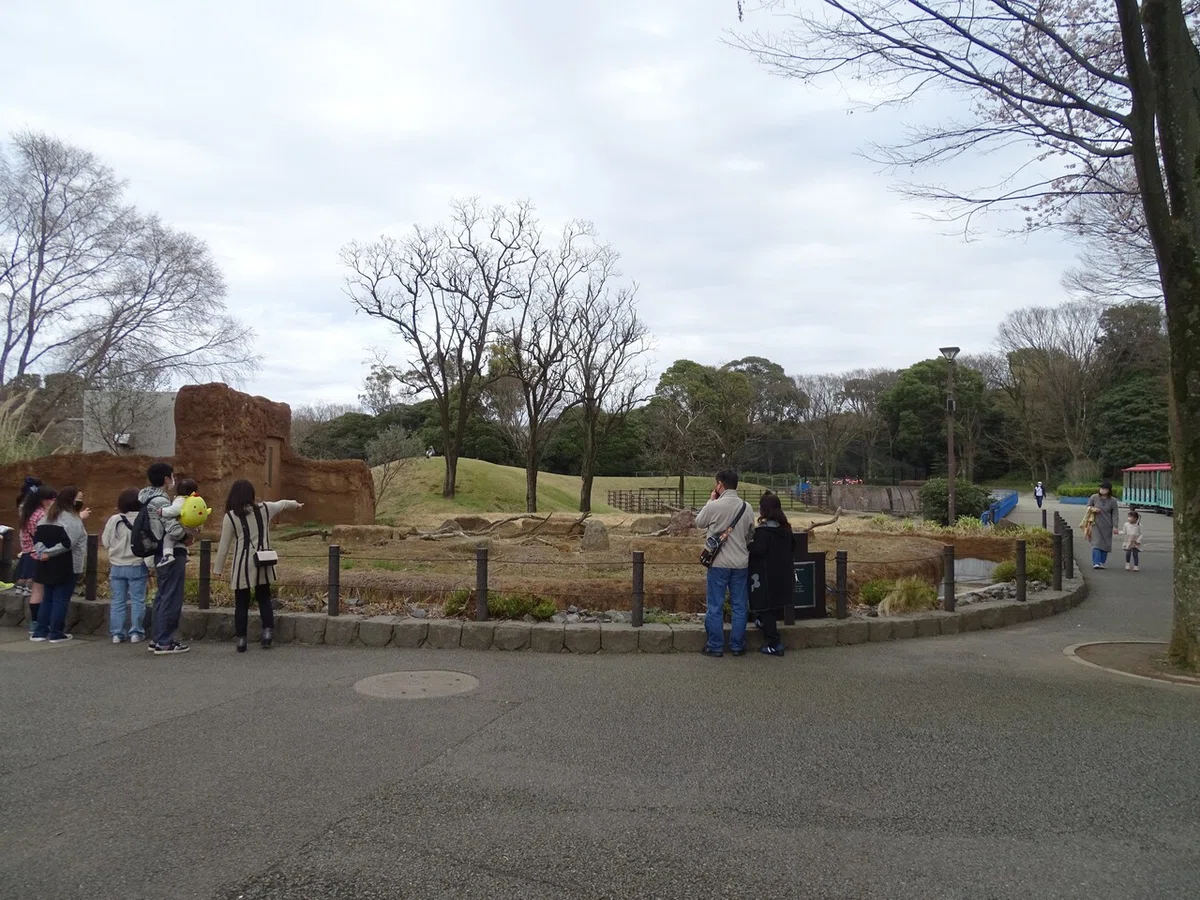 画像203
