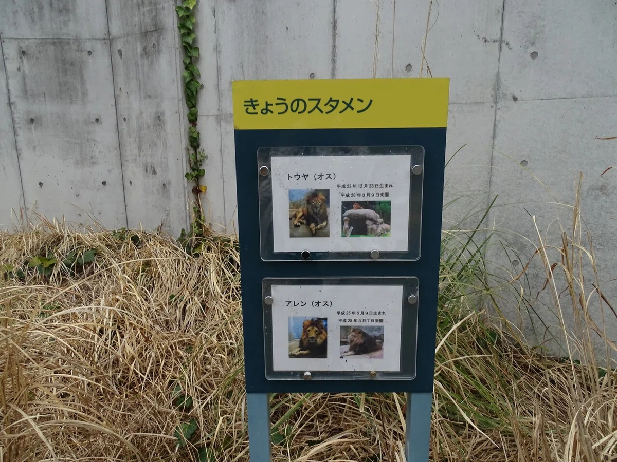 画像202
