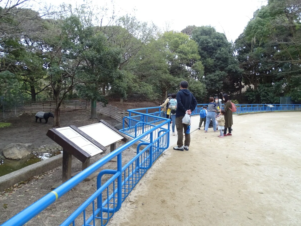 画像240
