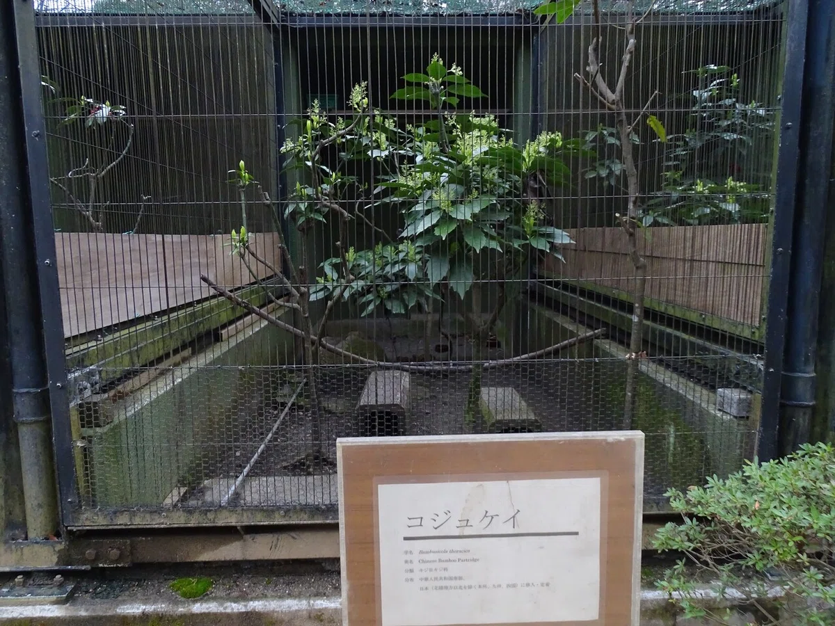 画像255