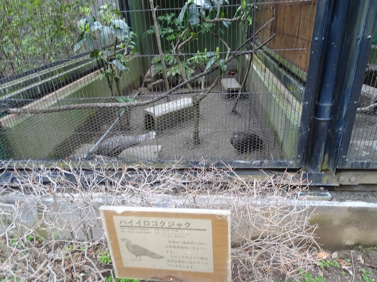 画像253