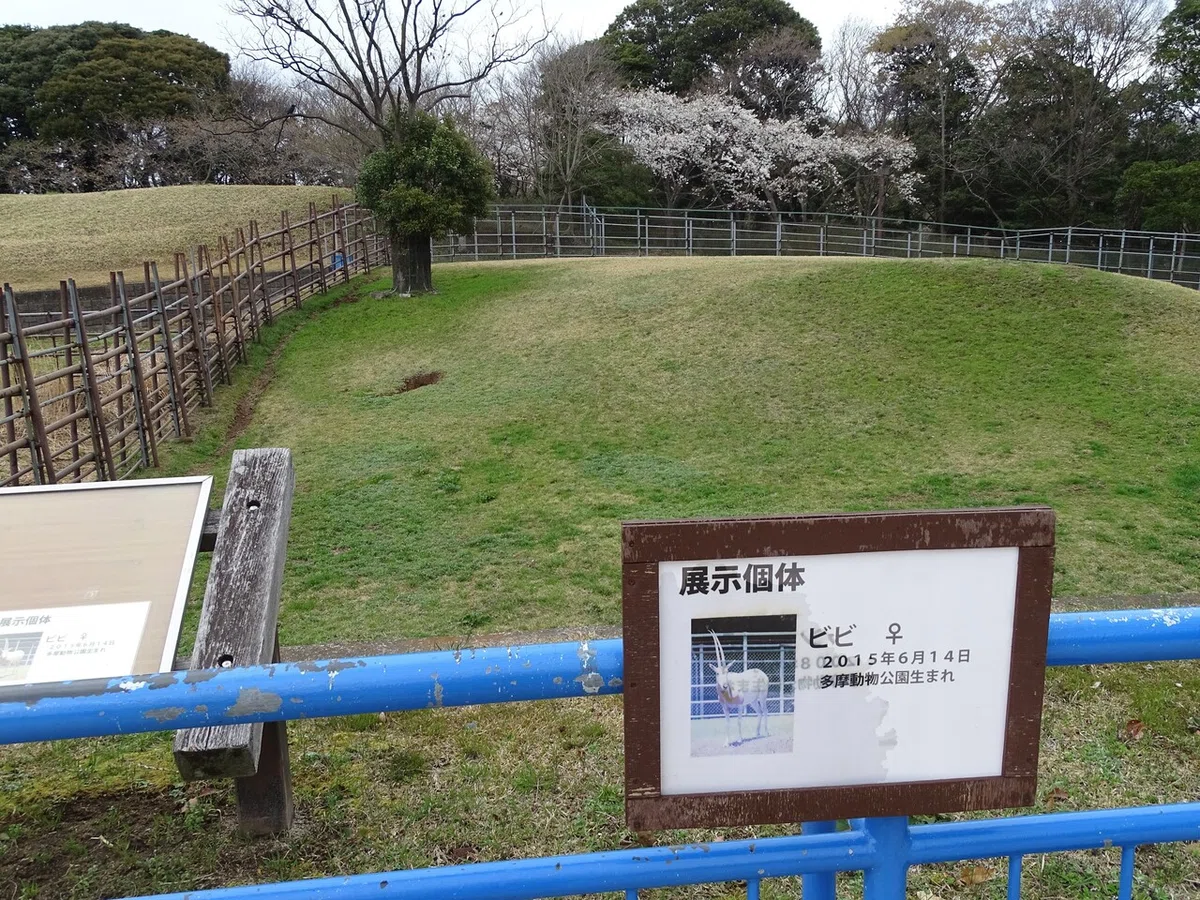 画像229