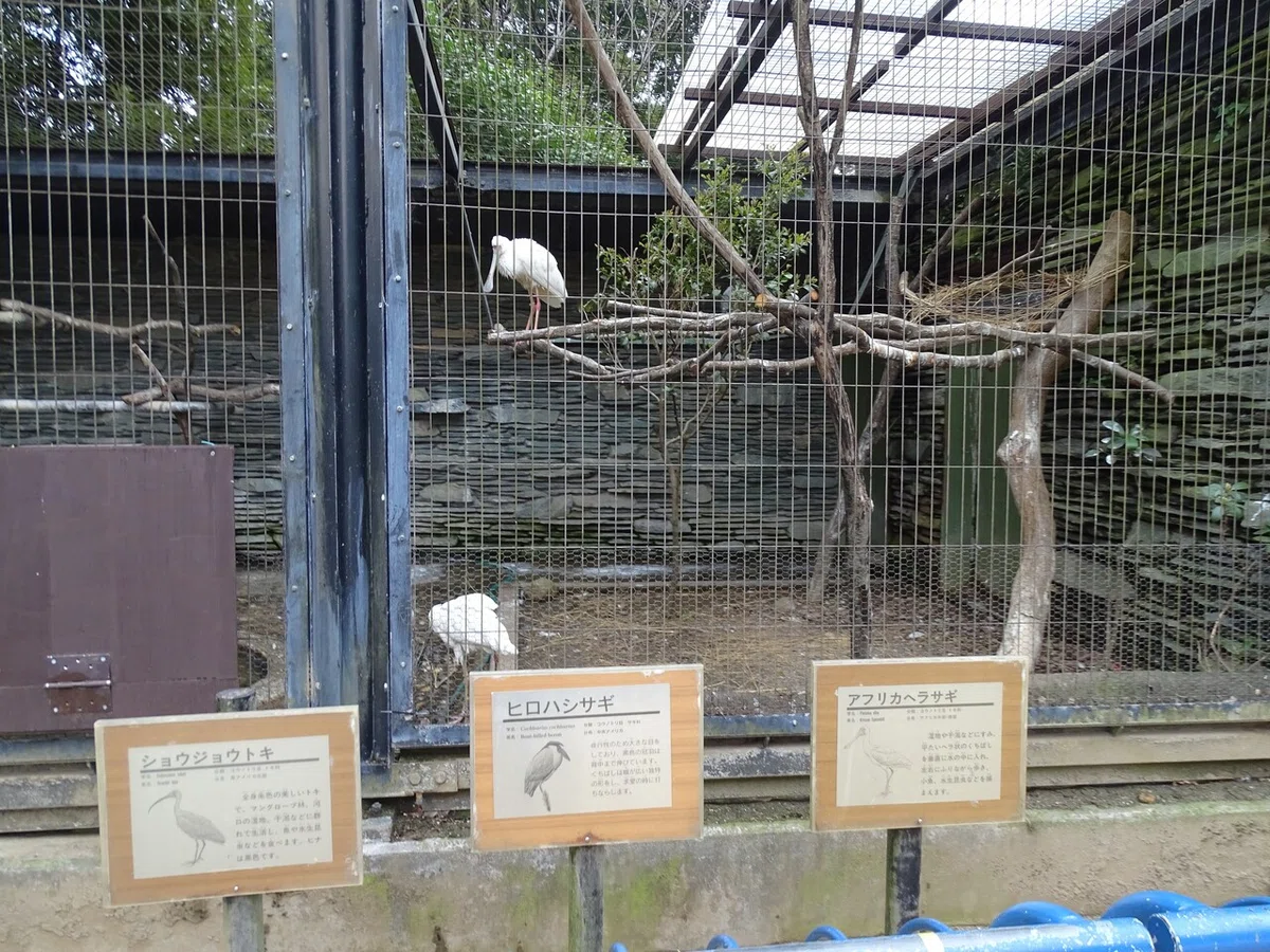 画像252