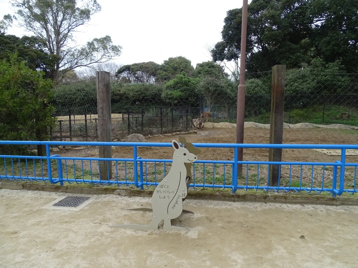 画像236