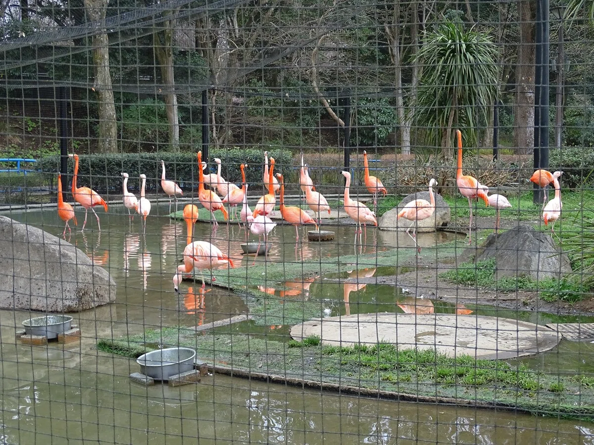 画像234