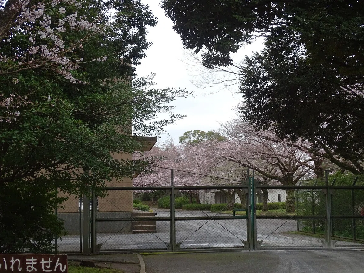 画像242