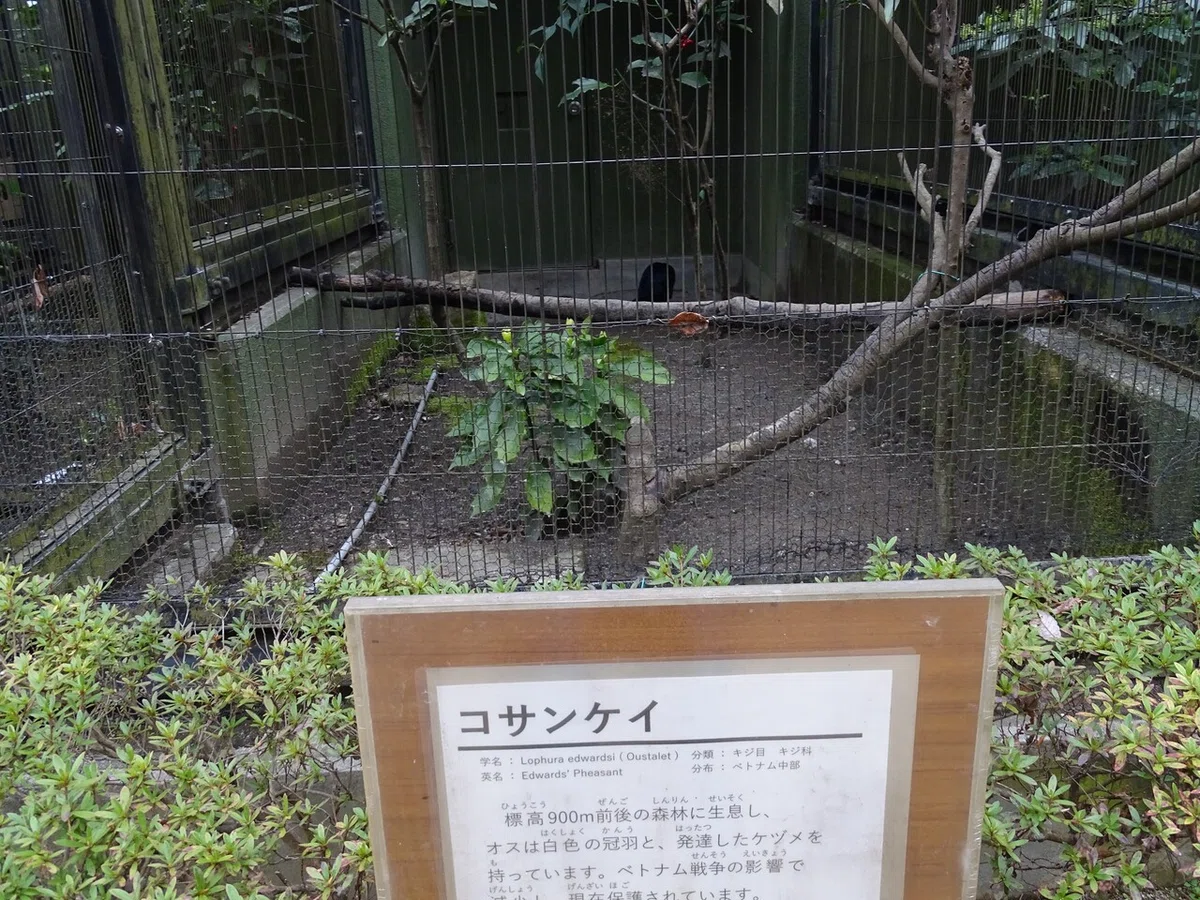 画像258