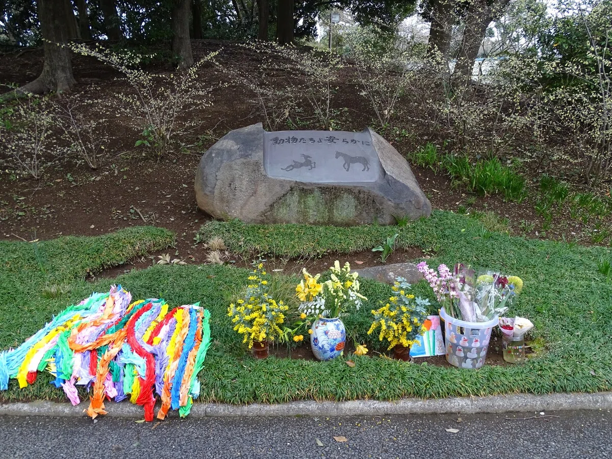 画像241