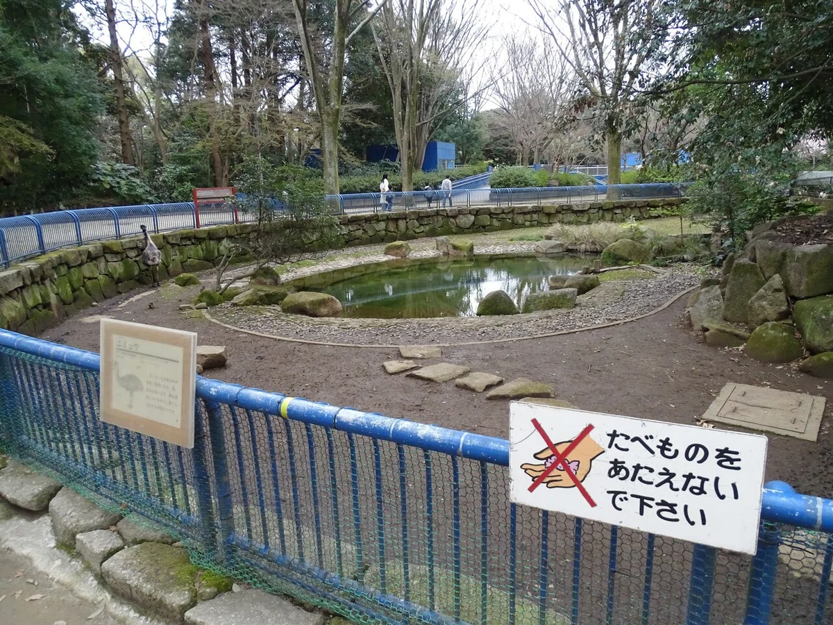 画像259