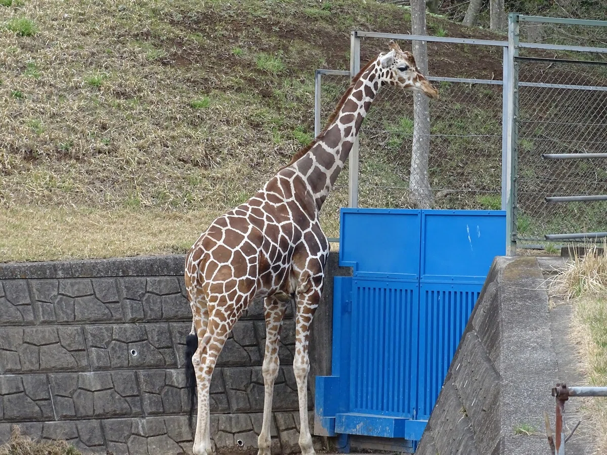 画像228