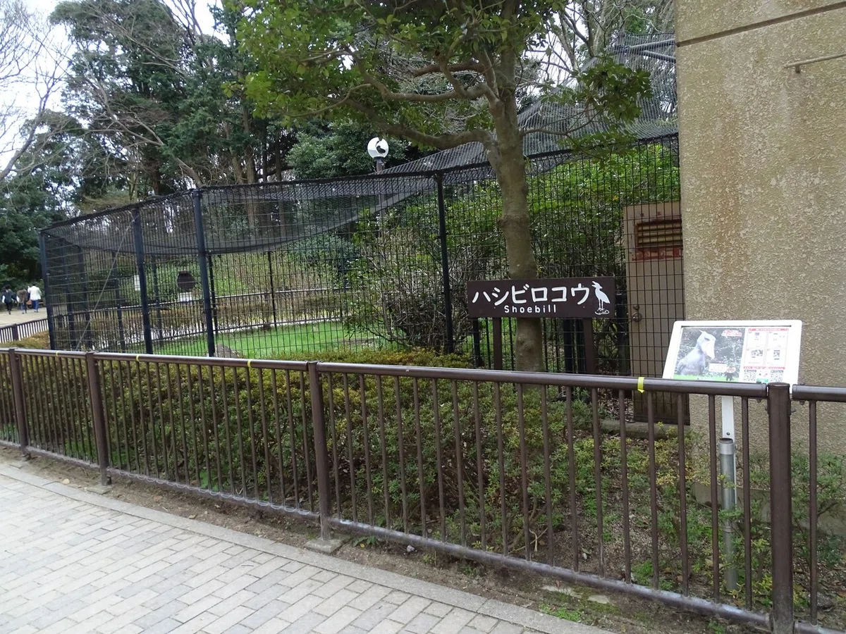 画像250
