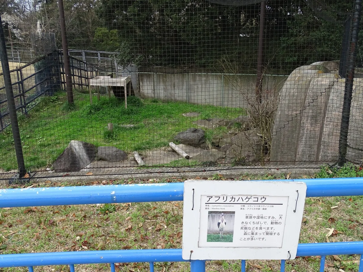 画像230