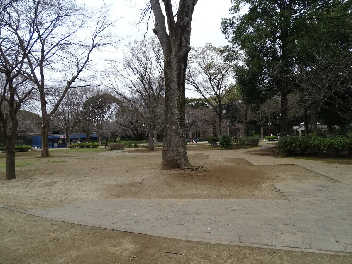 画像271