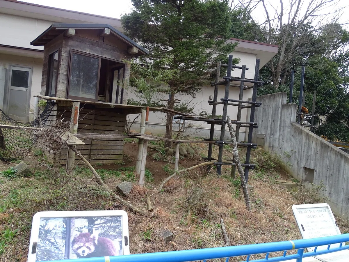 画像165