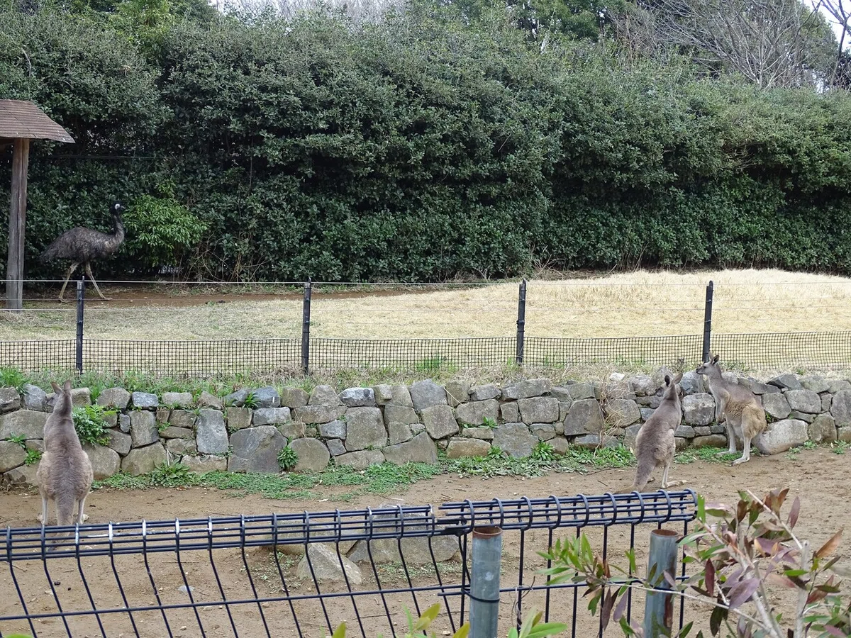 画像232