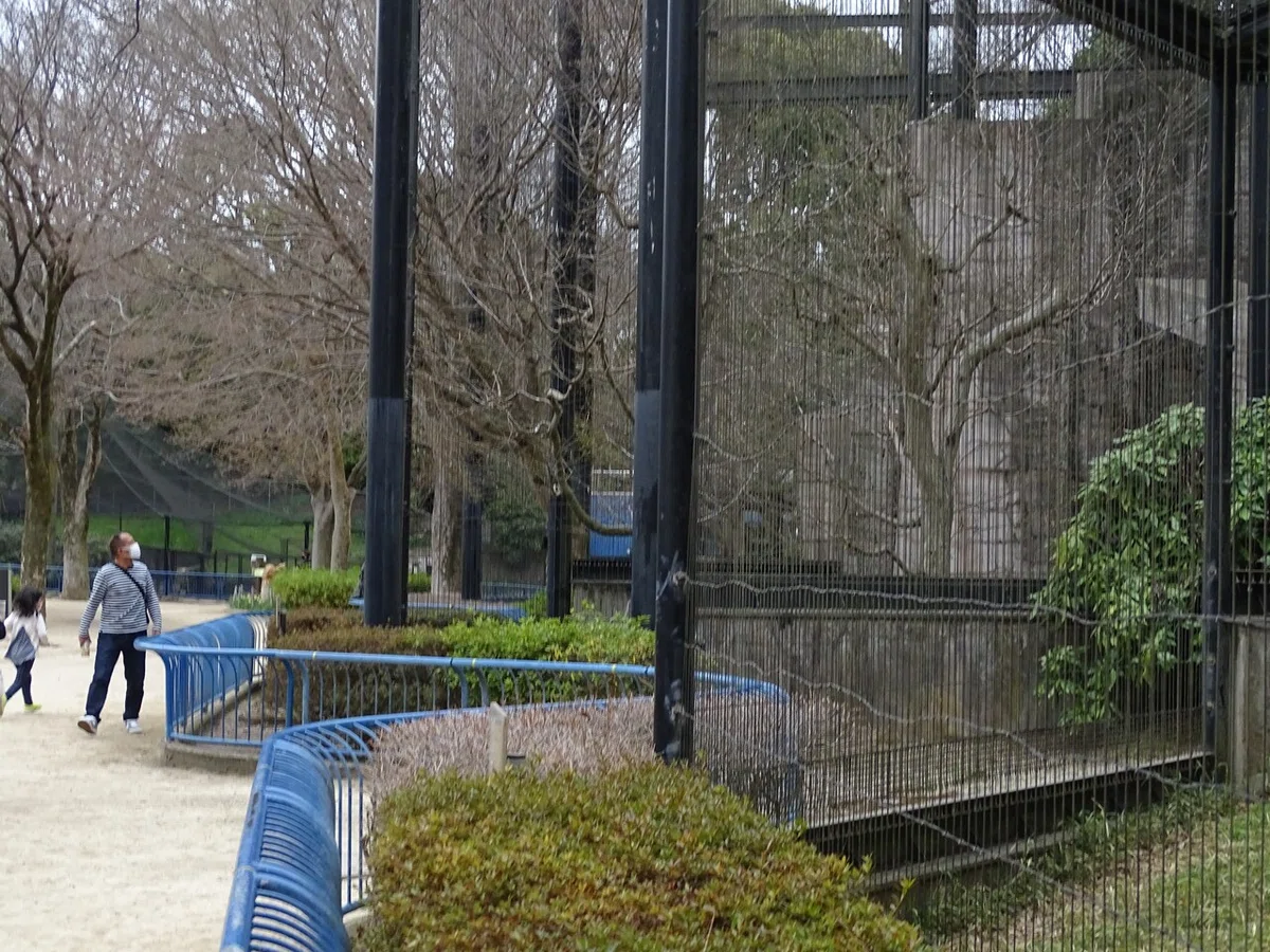 画像249