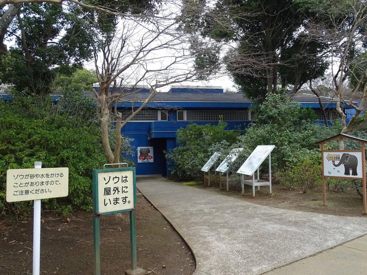 画像216