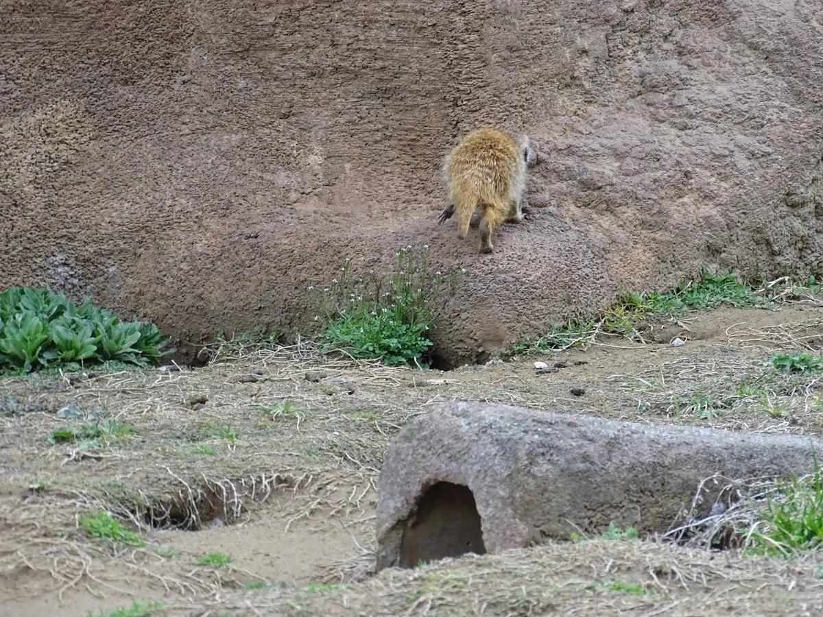 画像204