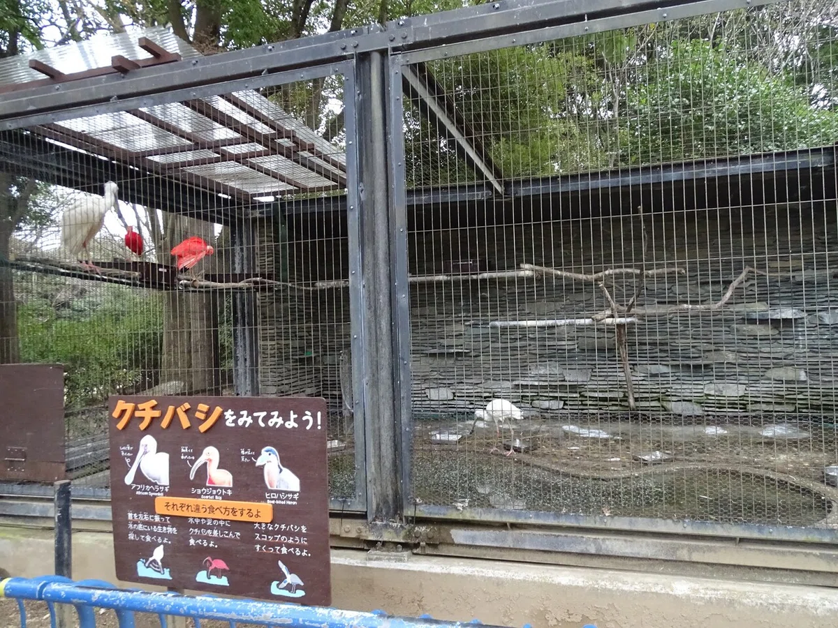 画像251