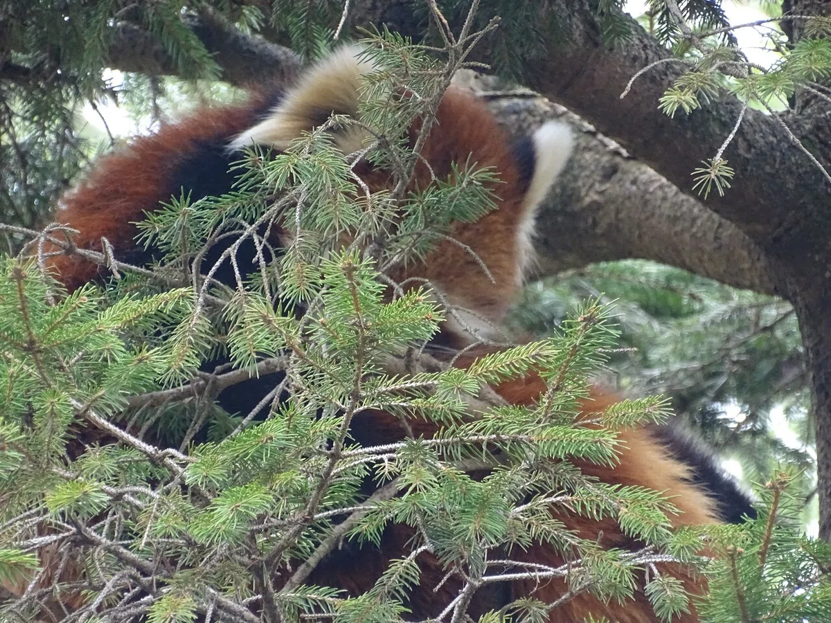 画像166