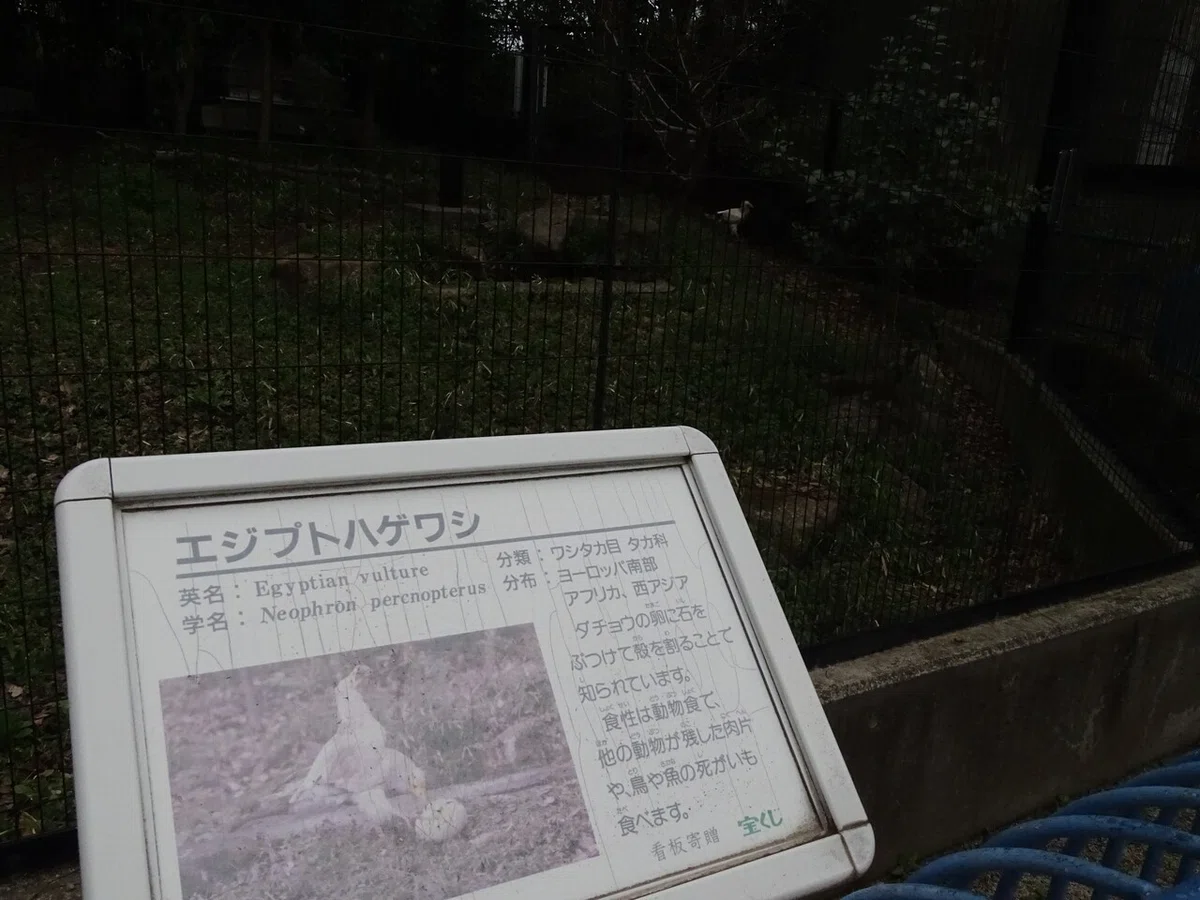 画像300