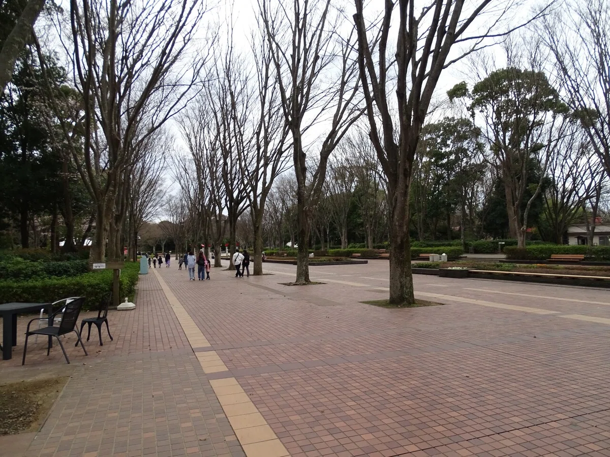 画像283