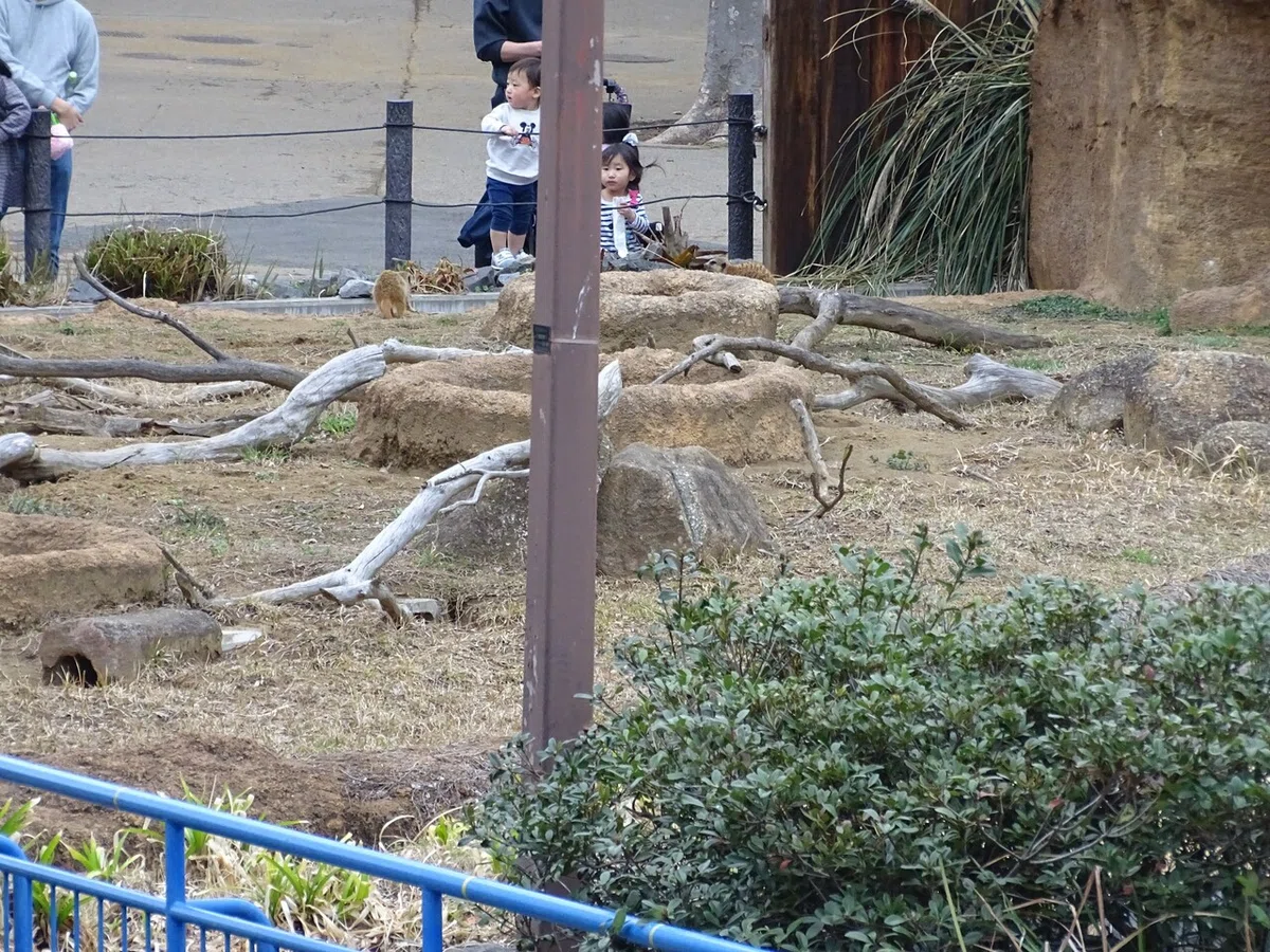 画像288