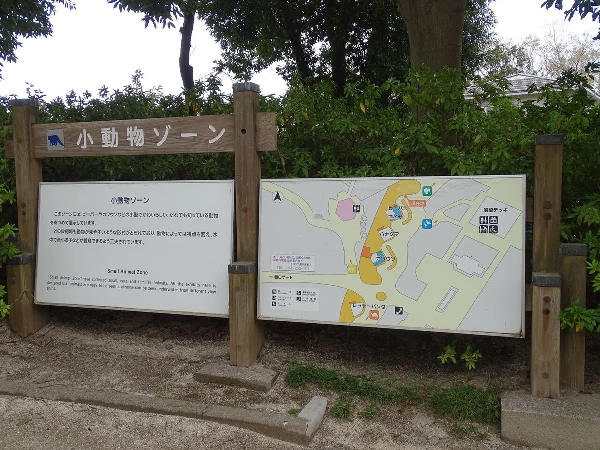 画像306