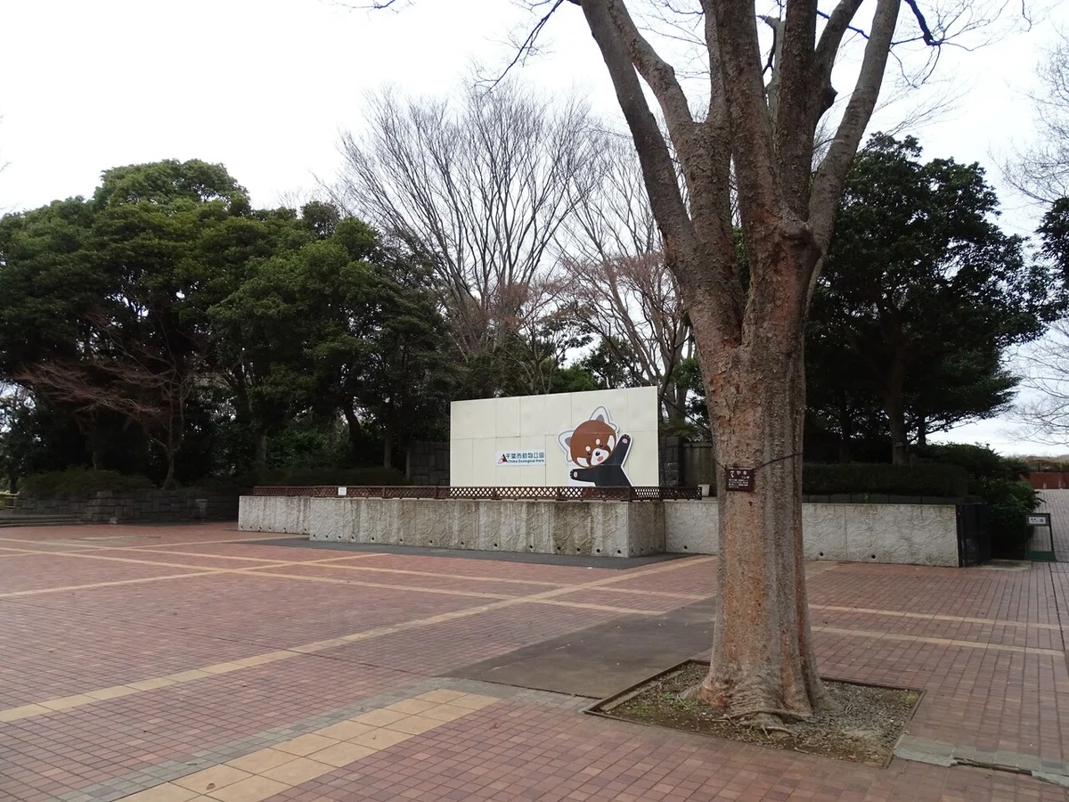 画像284