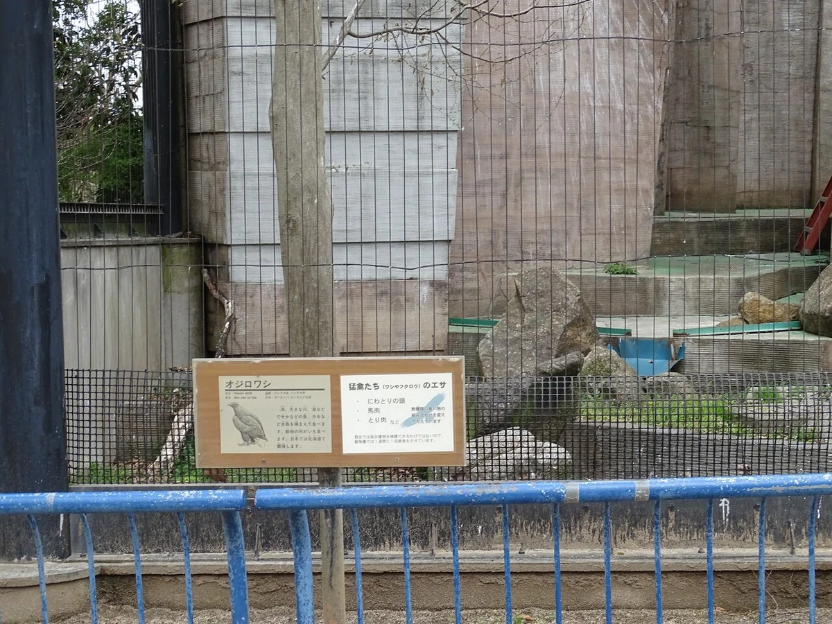 画像290