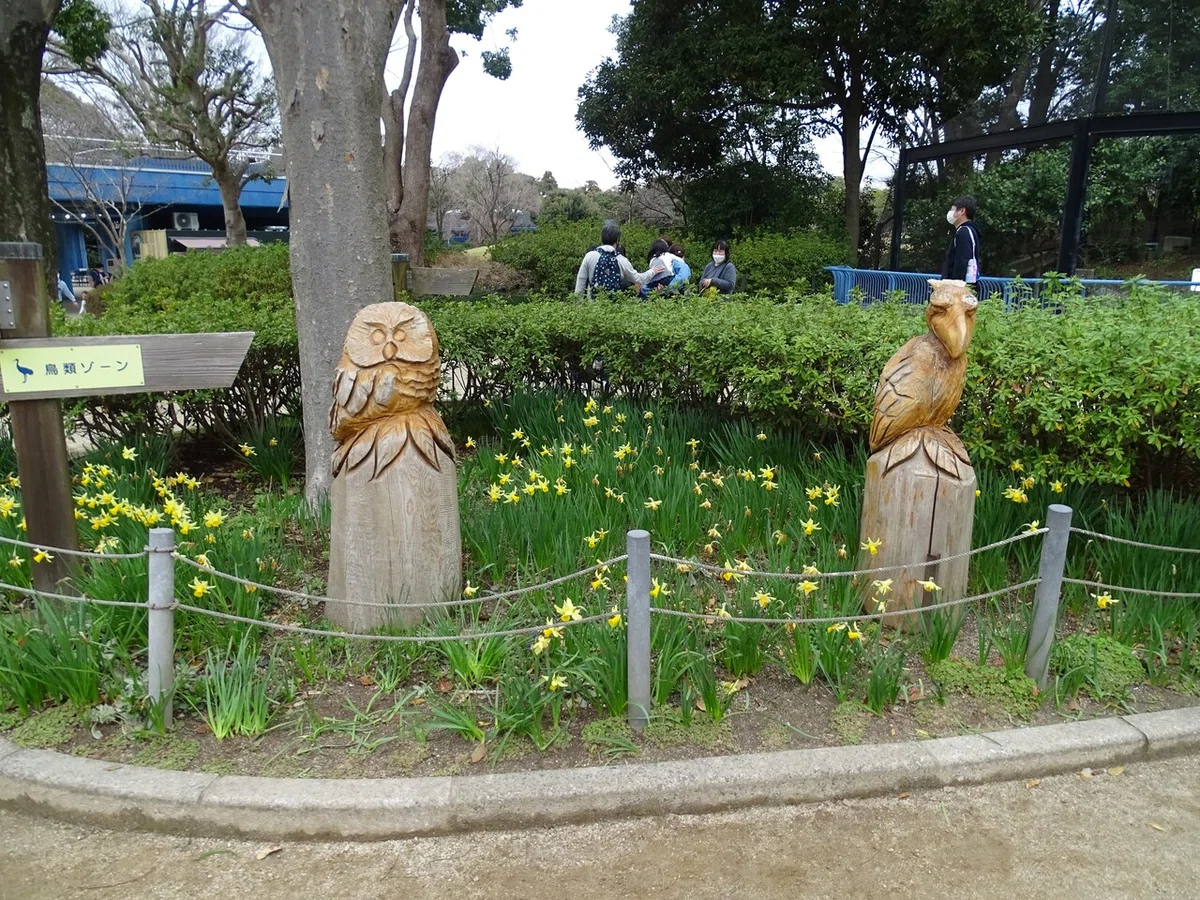 画像289