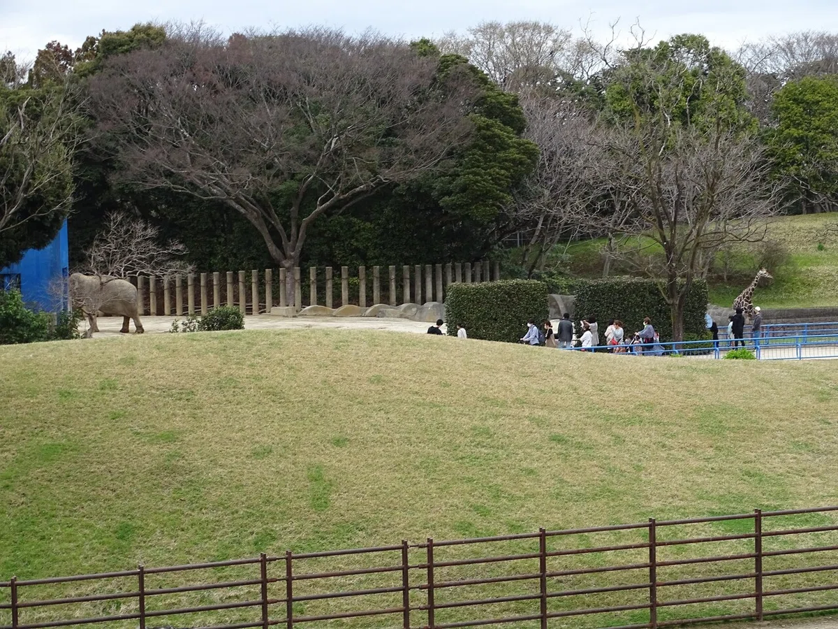 画像286
