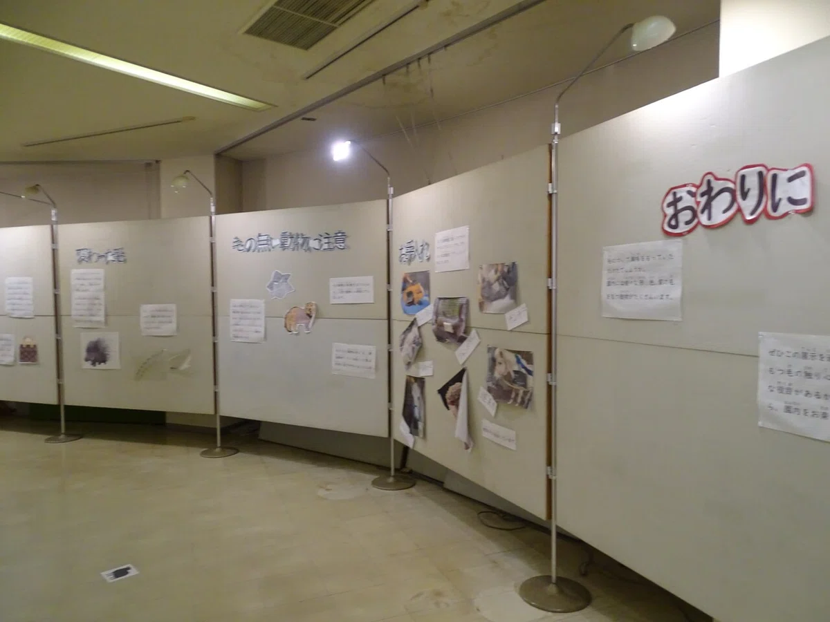 画像389