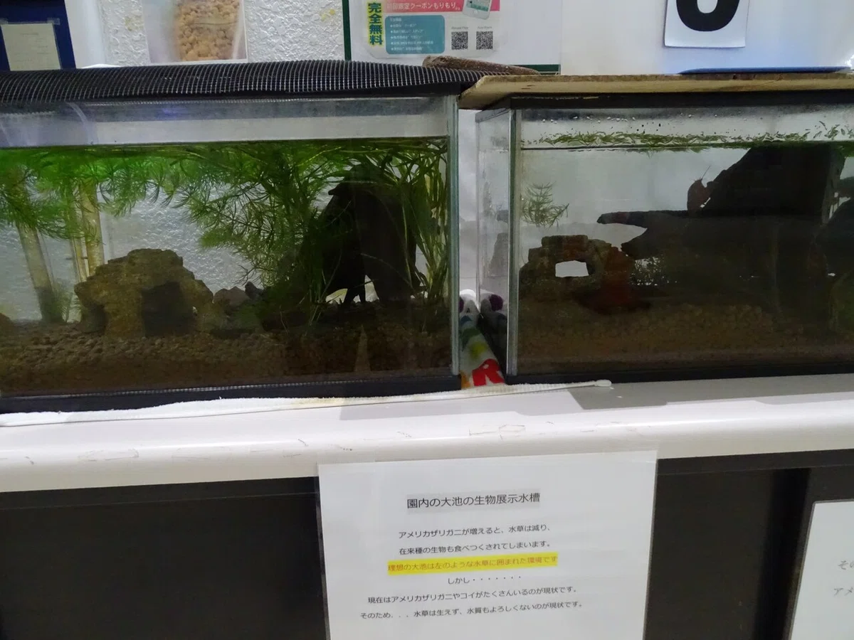 画像402