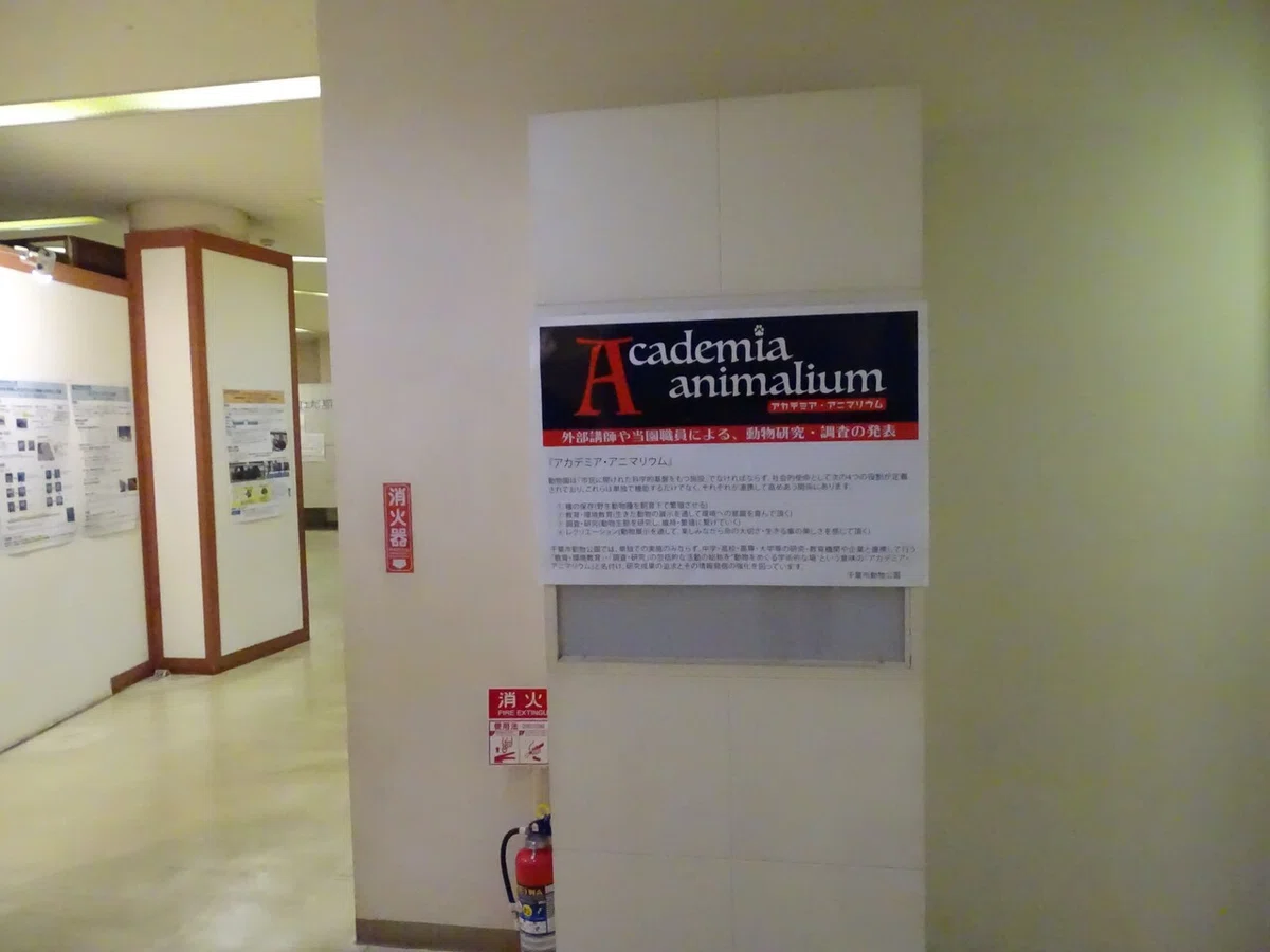 画像388