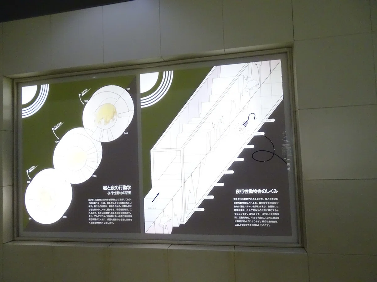 画像339