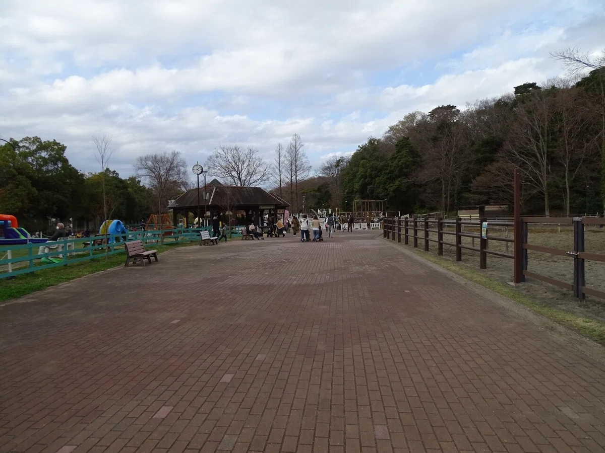 画像416