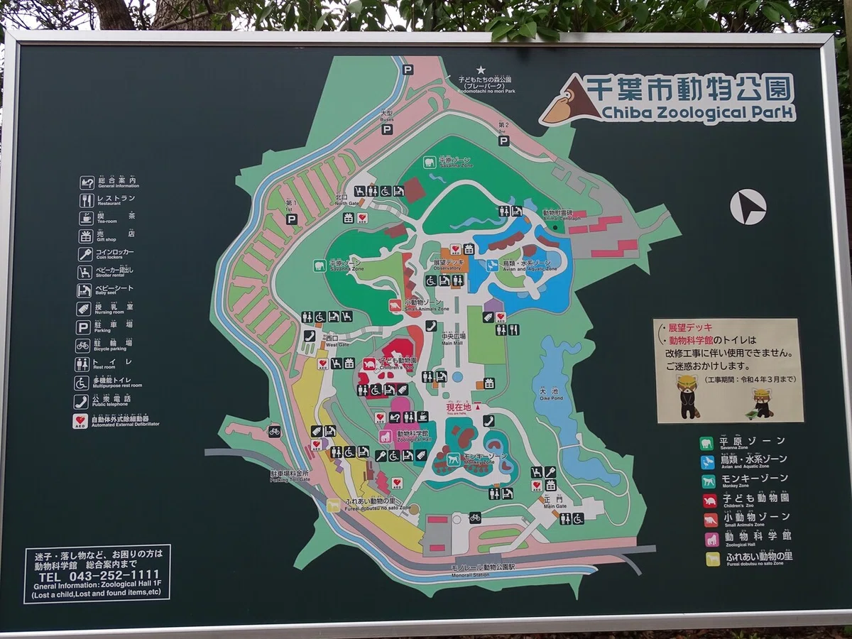 画像307