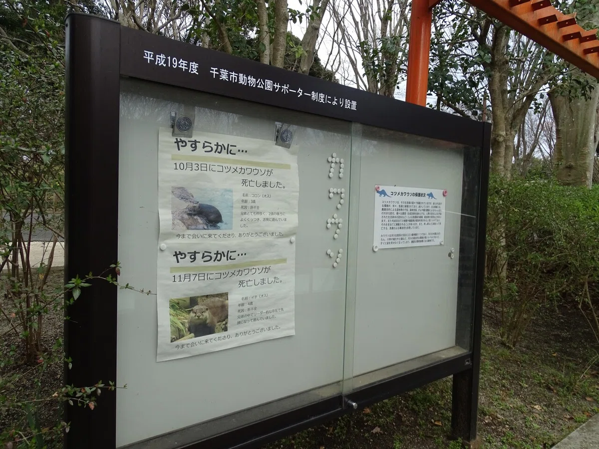 画像322