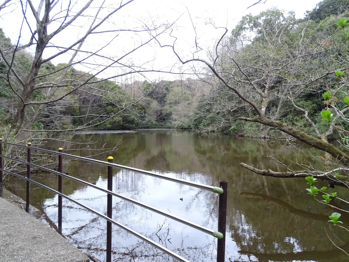 画像312